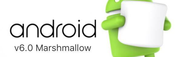 f86ed19ac950035edac0e04b1b49a73d